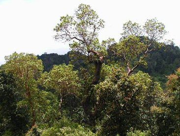 Los Altos de San Miguel Totonicapan Natural Park