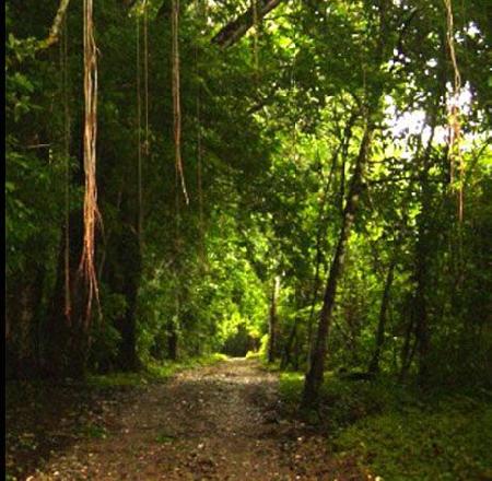 محمية ابسولوتا الطبيعية في كابو بلانكو