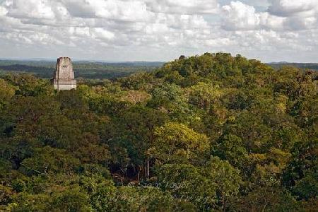 3rd Temple