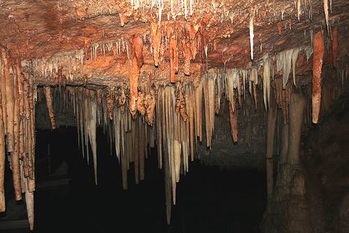 Bermuda Harrington Sound Amber of Leamington Caves Amber of Leamington Caves Bermuda - Harrington Sound - Bermuda