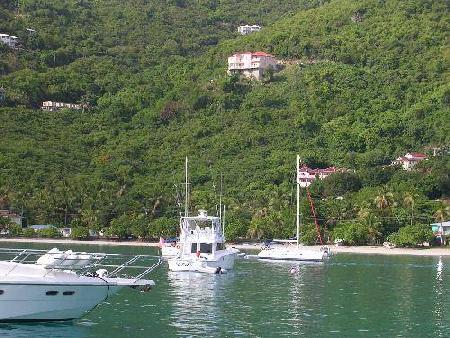 Tortola 