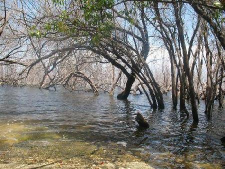 Barahona