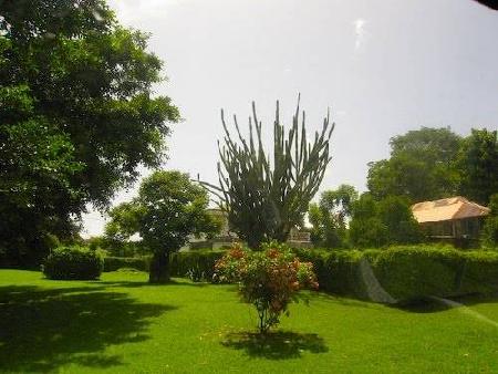 Hotels near Botanical Garden  Saint George