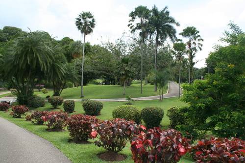 Trinidad & Tobago Port Of Spain  Botanical Garden Botanical Garden Port Of Spain - Port Of Spain  - Trinidad & Tobago