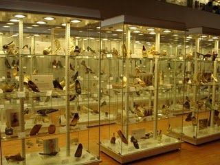 Mexico Mexico City Footwear Museum Footwear Museum Mexico - Mexico City - Mexico