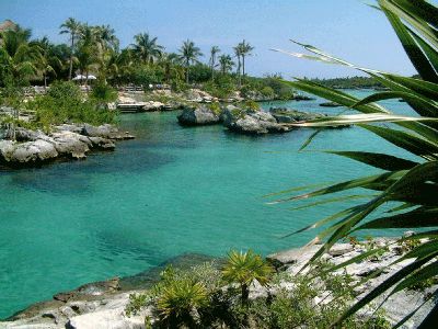 Hotels near Xel- Ha  Playa Del Carmen
