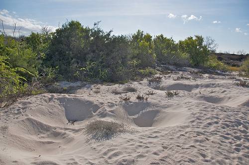 Ecuador  Baltra   Island Baltra   Island Baltra   Island -  - Ecuador