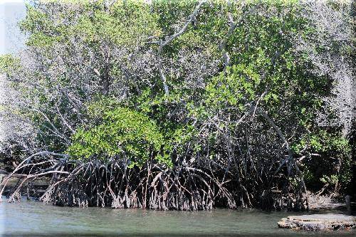 Ecuador  Fernandina   Island Fernandina   Island Fernandina   Island -  - Ecuador