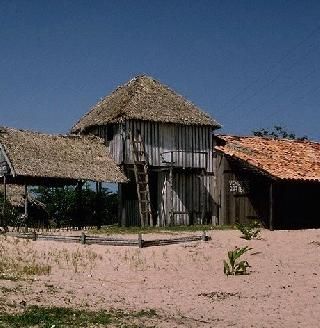 Brazil  Marajo Island Marajo Island Marajo Island -  - Brazil