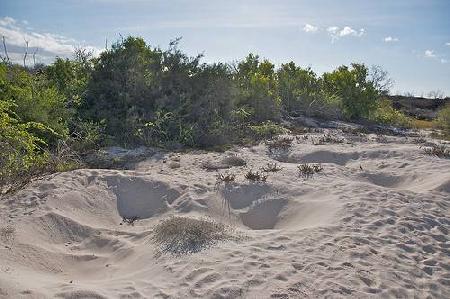 Galapagos