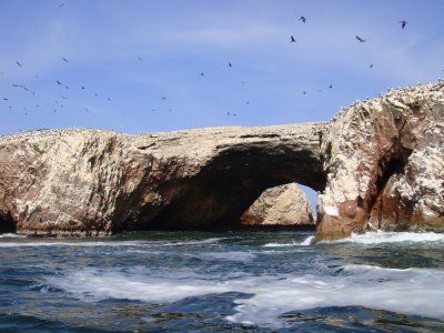 Peru  Ballestas  Islands Ballestas  Islands Ballestas  Islands -  - Peru