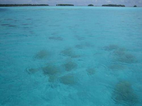 French Polynesia Avatoru Motus in the Lagoon Motus in the Lagoon Tuamotu Gambier - Avatoru - French Polynesia