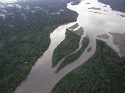 Ecuador Orellana Napo River Napo River Orellana - Orellana - Ecuador