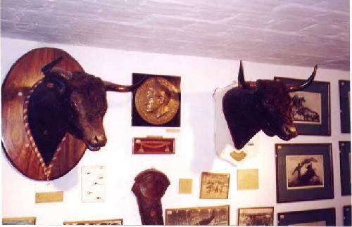 Peru Lima Bullfight Museum Bullfight Museum Lima Metropolitana - Lima - Peru
