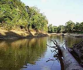 Iquitos