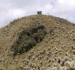 El Angel Ecological Reserve