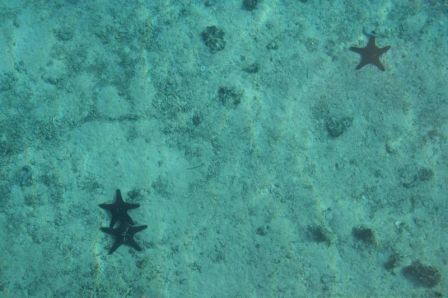 Tuamotu Gambier