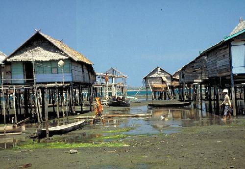 Indonesia  Flores  Island Flores  Island Nusa Tenggara -  - Indonesia