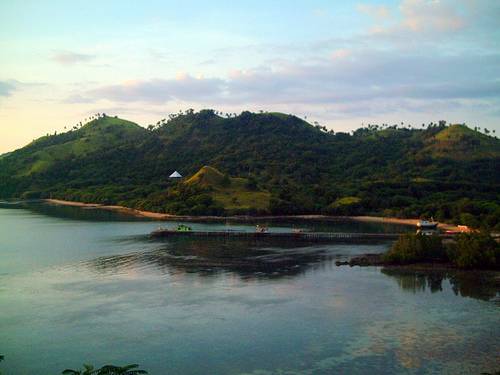 Indonesia  Flores  Island Flores  Island Nusa Tenggara -  - Indonesia