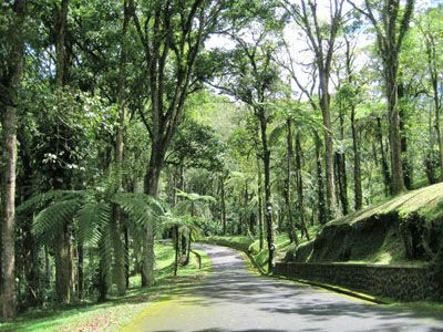 Indonesia Bedugul Bali Botanical Garden Bali Botanical Garden Bali - Bedugul - Indonesia