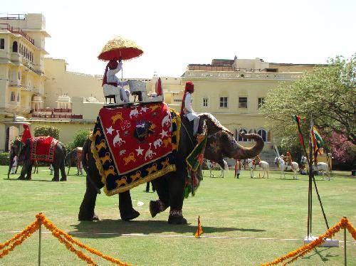 India Jaipur Elephant Festival Elephant Festival Jaipur - Jaipur - India