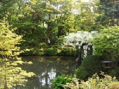 Nikko Natural Museum