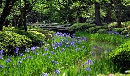 Kenrokuen Garden