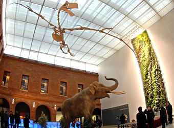 France Toulouse Natural History Museum Natural History Museum Haute Garonne - Toulouse - France