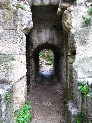 جارد