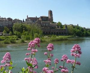 Hotels near Cordes  Toulouse