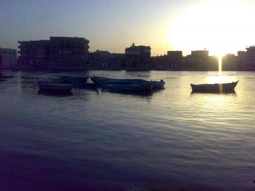 مصر  إدكو إدكو إدكو -  - مصر