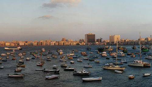 مصر  العامرية العامرية العامرية -  - مصر