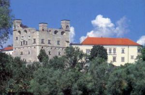 Hotels near Rakoczi Castle  Sarospatak