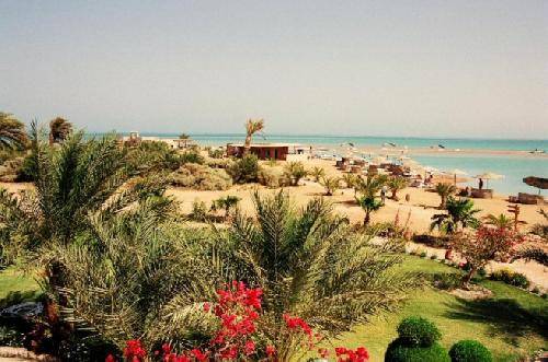 مصر الجونة = مصر الجونة الجونة الجونة - - مصر