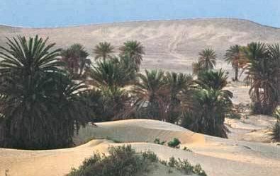 مصر شمال سيناء = مصر شمال سيناء شمال سيناء شمال سيناء - - مصر