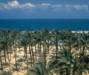 مصر شمال سيناء = مصر شمال سيناء شمال سيناء شمال سيناء - - مصر