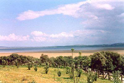 Tunisia Ichkeul National Park Lake Ichkeul Lake Ichkeul Bizerte - Ichkeul National Park - Tunisia