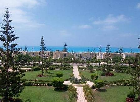 مراقية