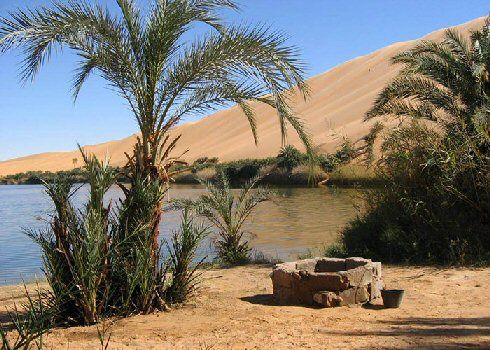 Egypt Bahariya Oasis = Egypt Bahariya Oasis Bahariya Oasis New Valley ( The Western Desert ) - - Egypt