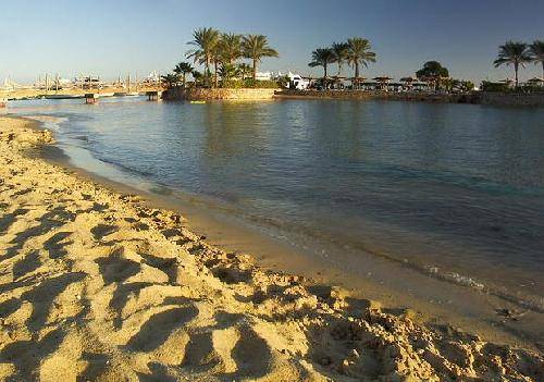 مصر  برنيس برنيس برنيس -  - مصر