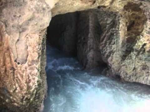 مصر  الحمام الحمام الحمام -  - مصر