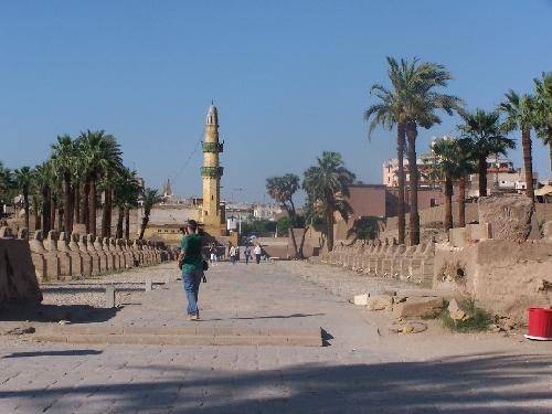 Egypt Luxor Luxor Temple Luxor Temple Luxor Temple - Luxor - Egypt