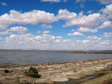 Egypt El Fayoum Qaroun Lake Qaroun Lake El Fayoum - El Fayoum - Egypt