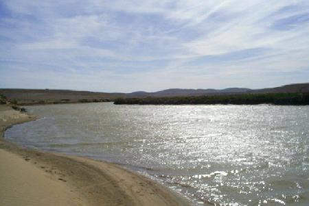 Al Abyad Beach (The White Beach)