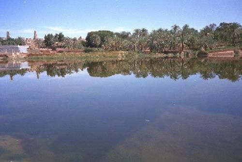 Egypt  El Farafra Oasis El Farafra Oasis El Farafra Oasis -  - Egypt