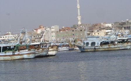 مصر  عزبة البرج عزبة البرج عزبة البرج -  - مصر