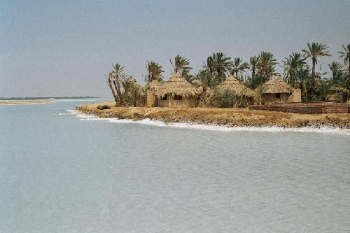 مصر  واحة سيوه واحة سيوه واحة سيوه -  - مصر