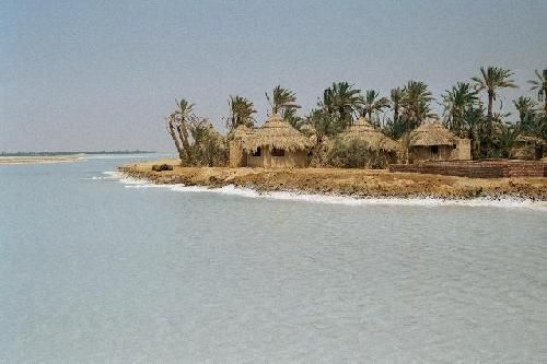 Egypt  Oasis of Siwa Oasis of Siwa Matrouh -  - Egypt