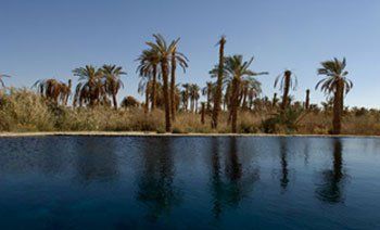 Egypt  Oasis of Siwa Oasis of Siwa Matrouh -  - Egypt
