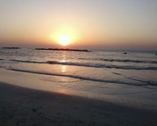 العامرية